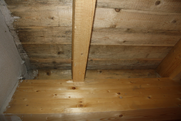 Schimmelpilz02.JPG